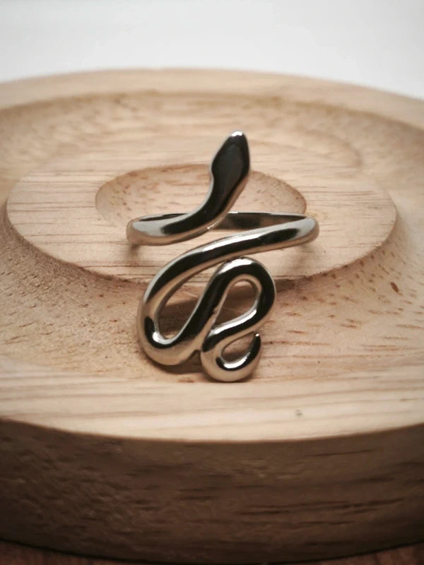 Bague serpent en acier inoxydable 17mm